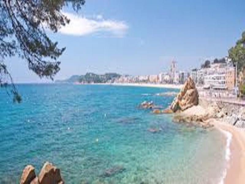 alba-seleqtta-hotel-spa-resort 14223