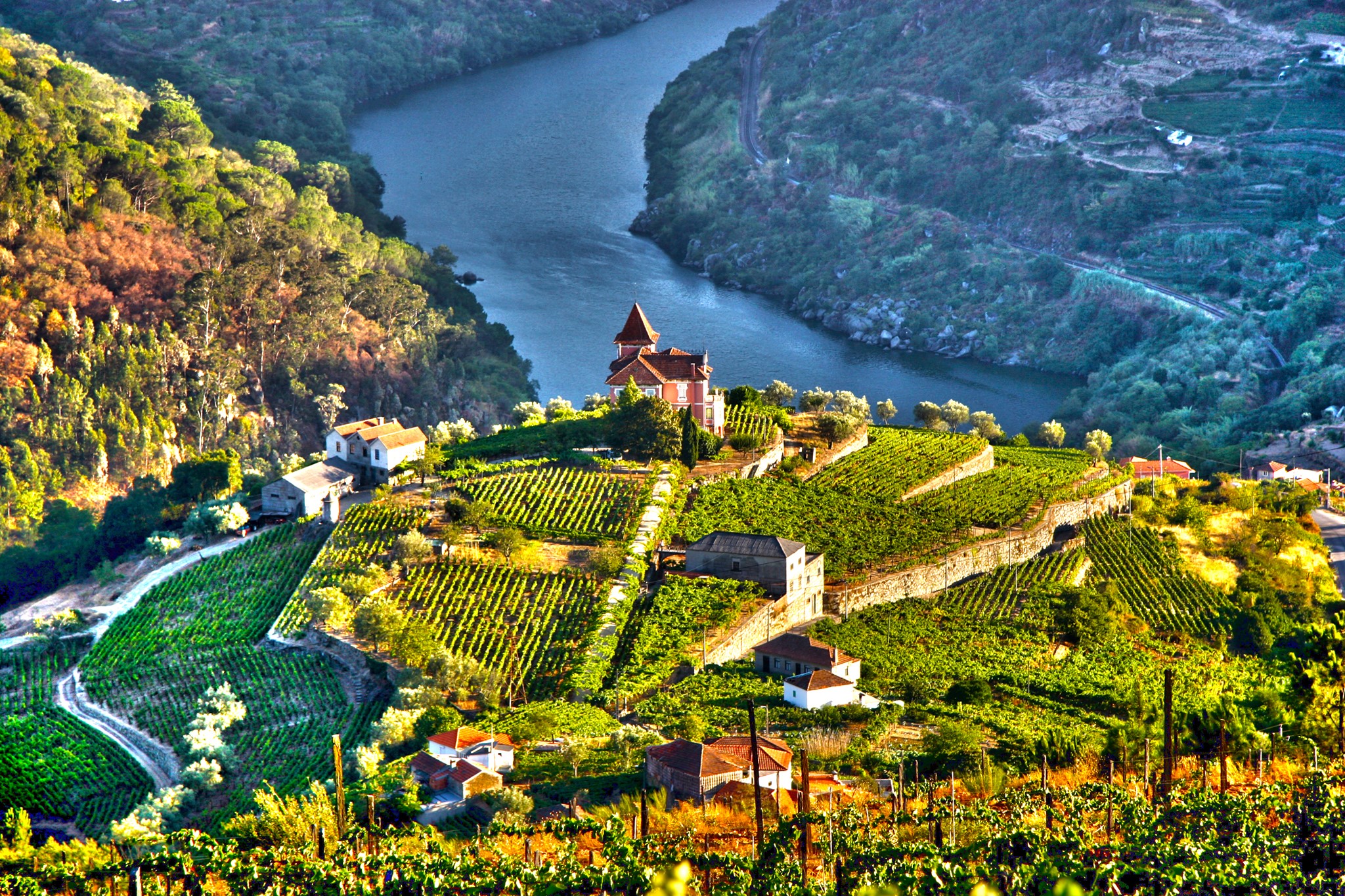 crucero-douro-ms-cruiser 14600