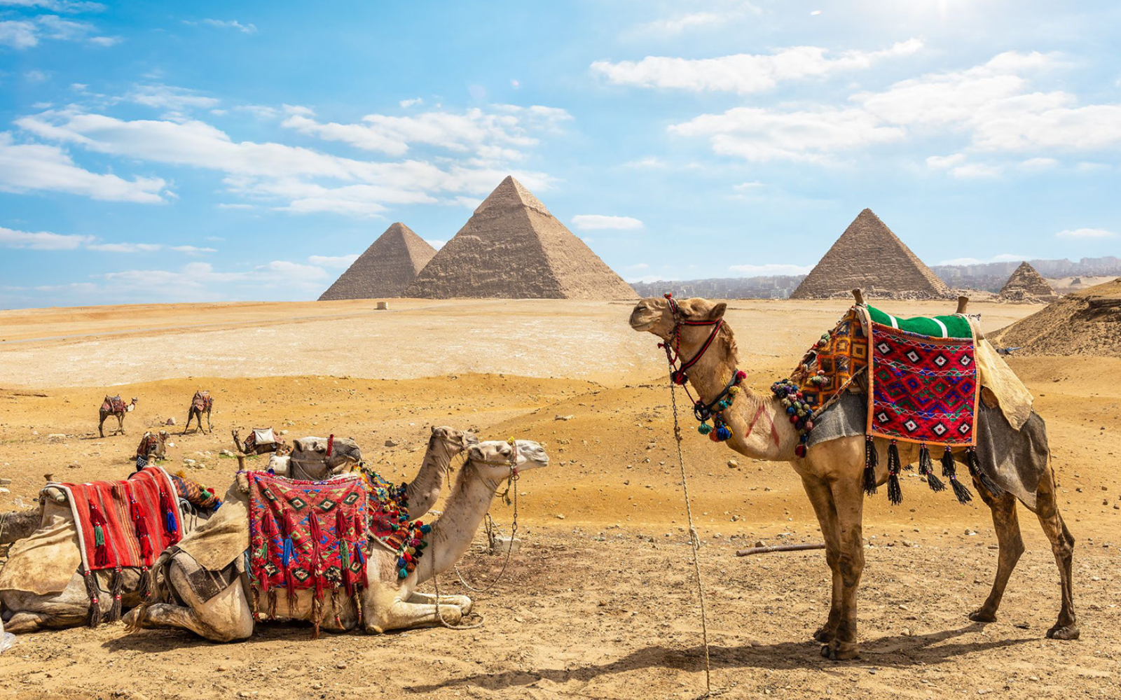 ofertas-de-viajes-a-egipto 14663