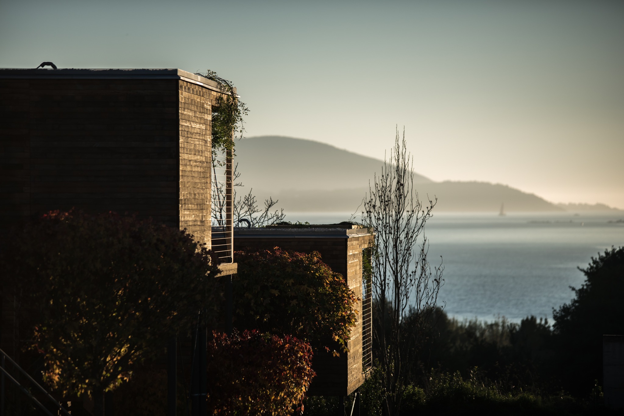 cabanitas-del-bosque-cabana-de-brona 15160