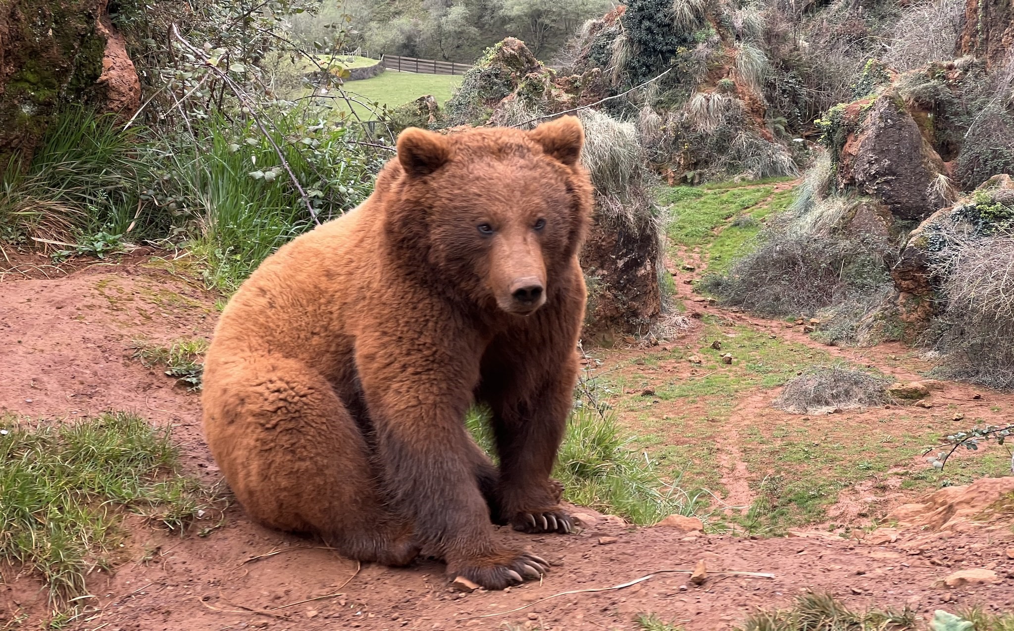 parque-naturaleza-cabarceno 20285