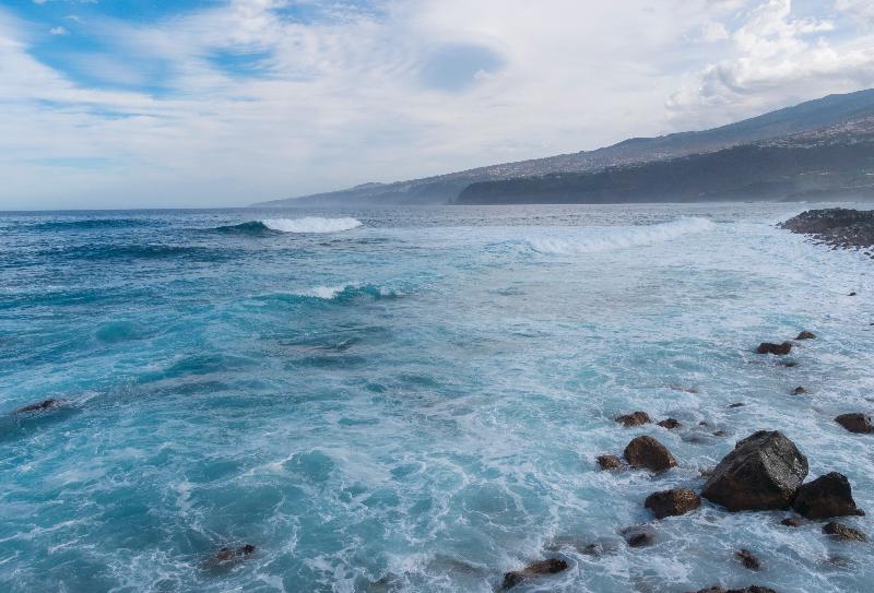 checkin-concordia-playa 24339