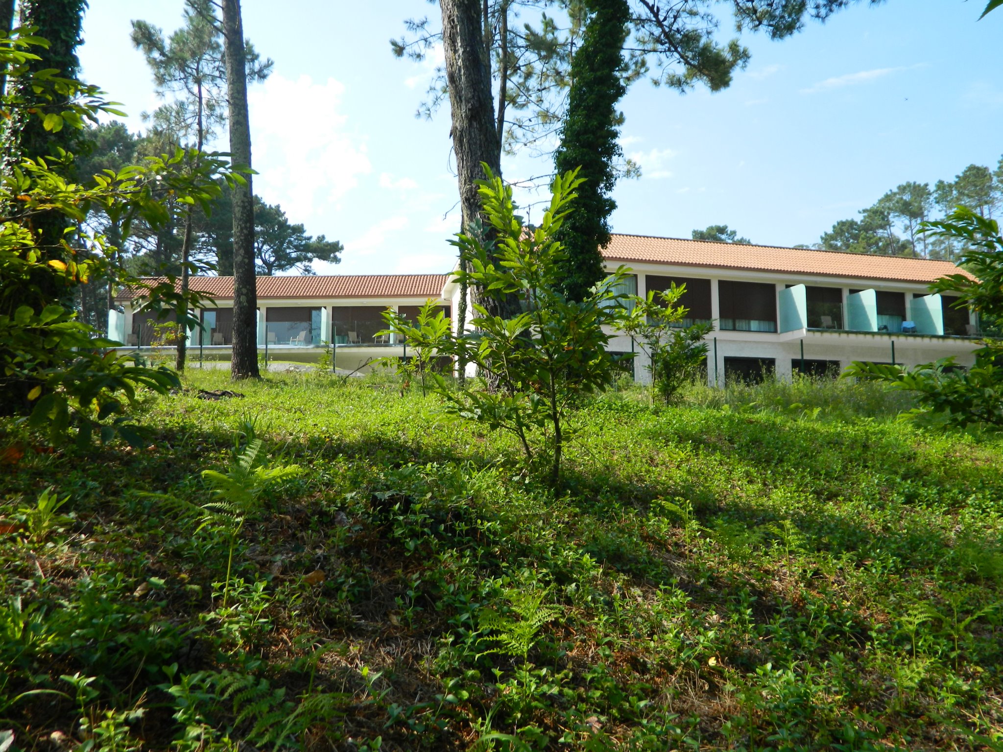 hotel-alen-do-mar-fisterra-ofertas-escapadas 24503