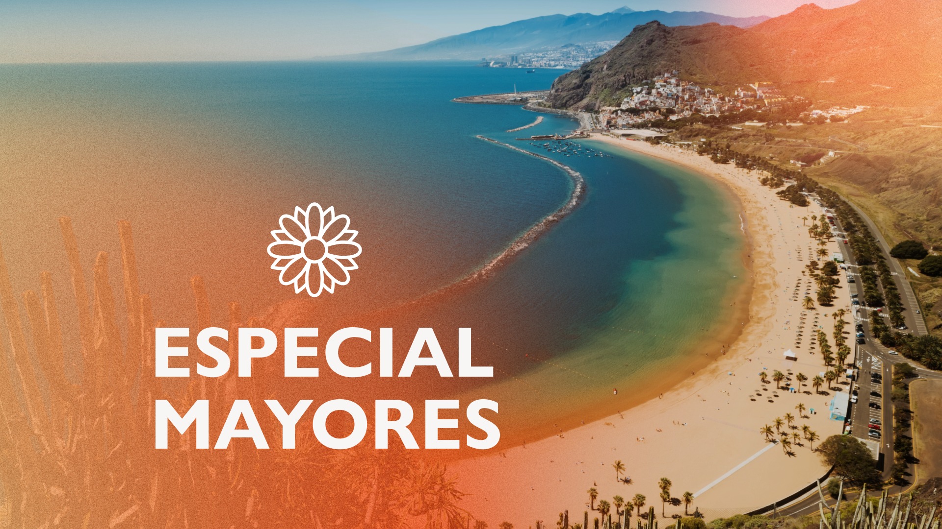 oferta-tenerife-viajes-desde-galicia 24683