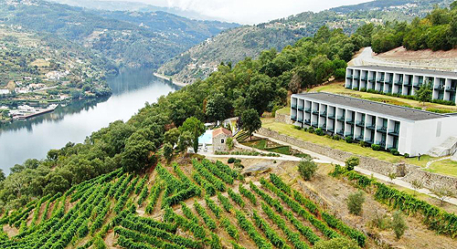 douro-palace-hotel-resort-spa 24841