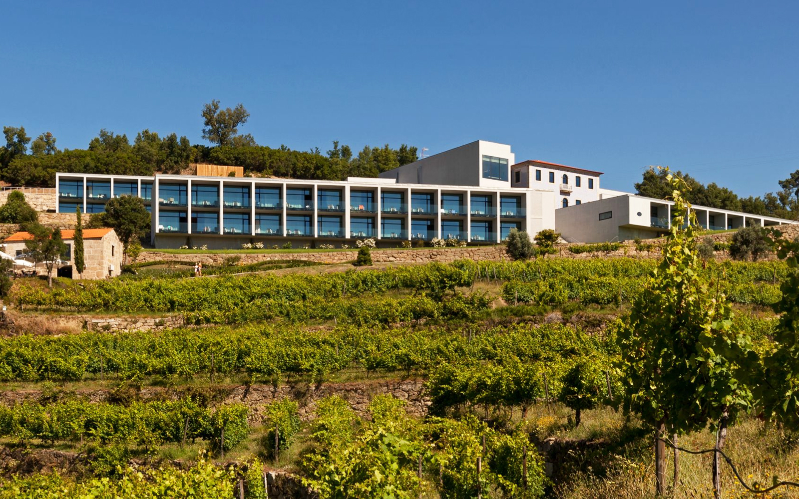 douro-palace-6 24842