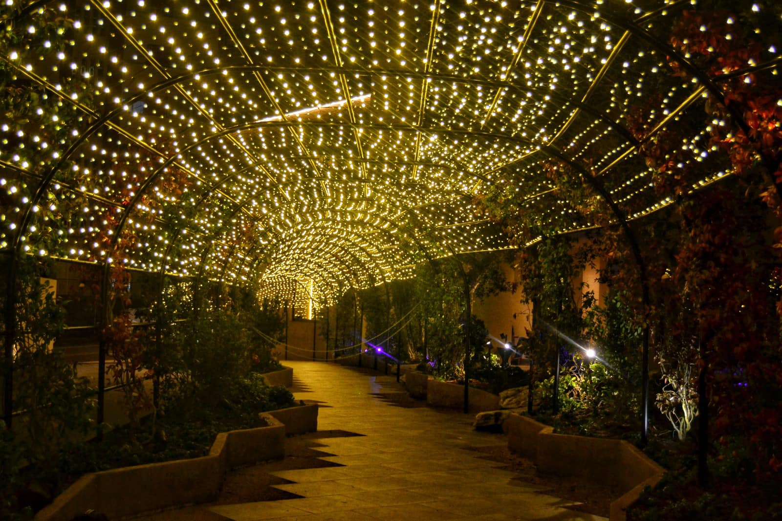 hotel-mercure-lugo 25174