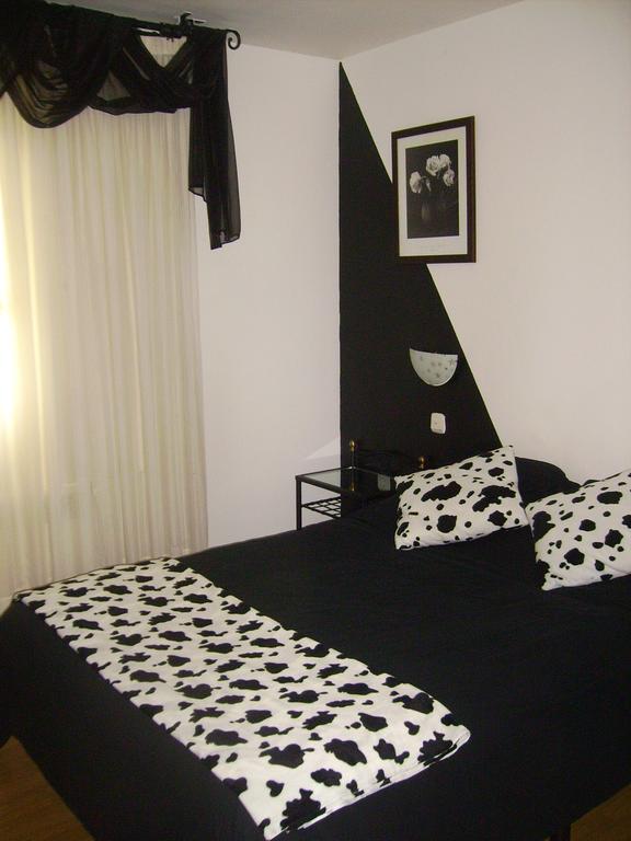 camino-de-altamira 2533