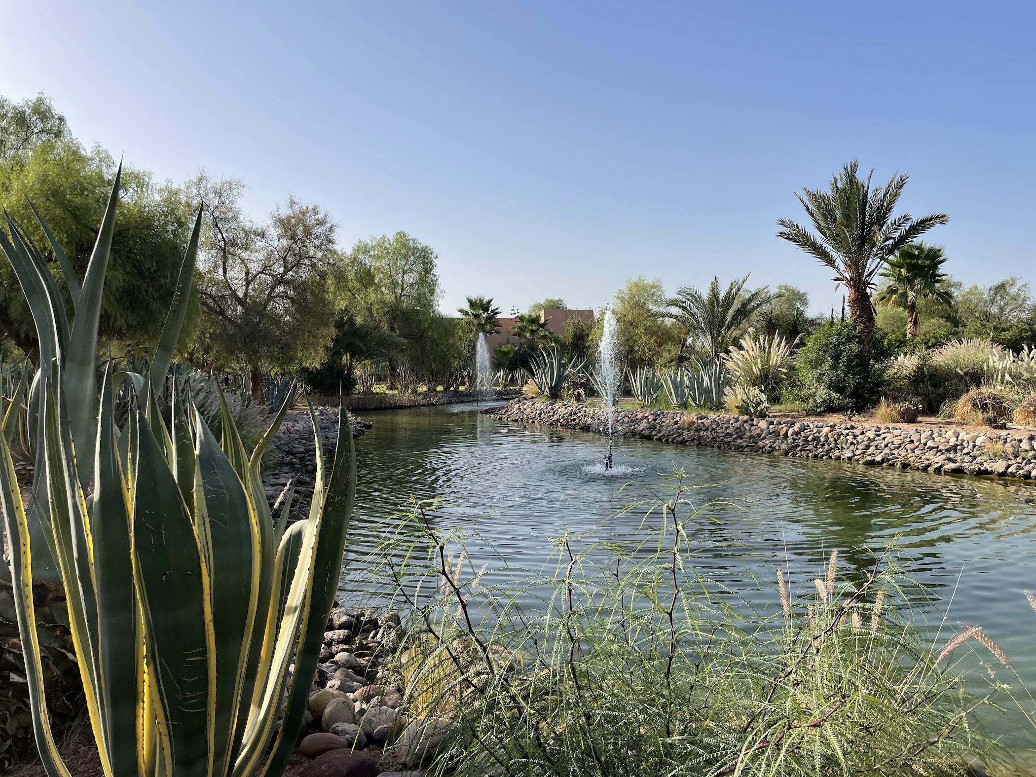 riu-tikida-palmeraie-marrakech 25801