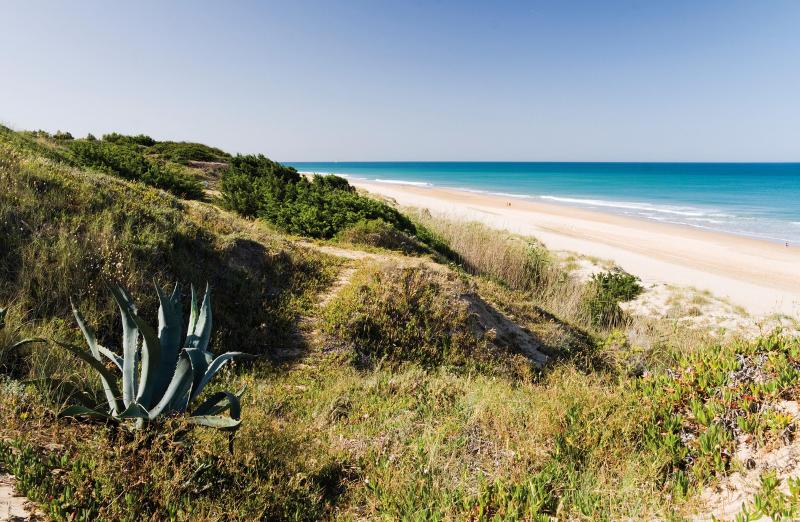 hotel-riu-chiclana-all-inclusive 25838