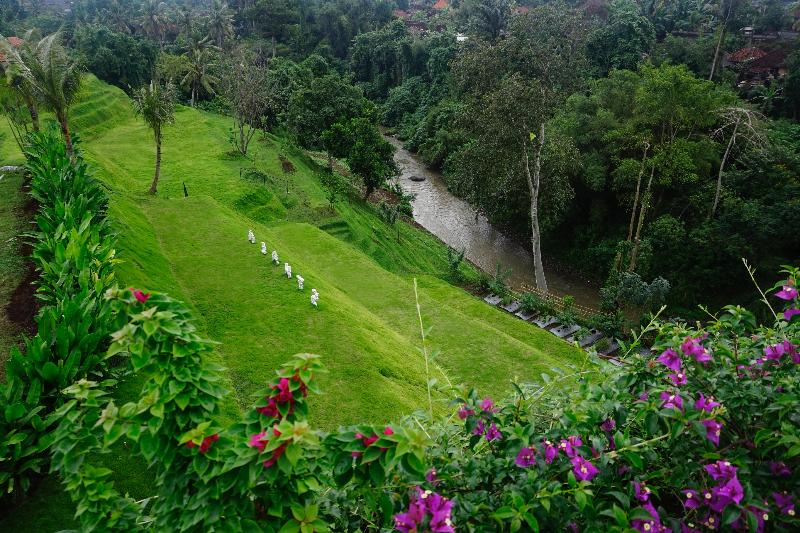 sthala-a-tribute-portfolio-hotel-ubud-bali 25895