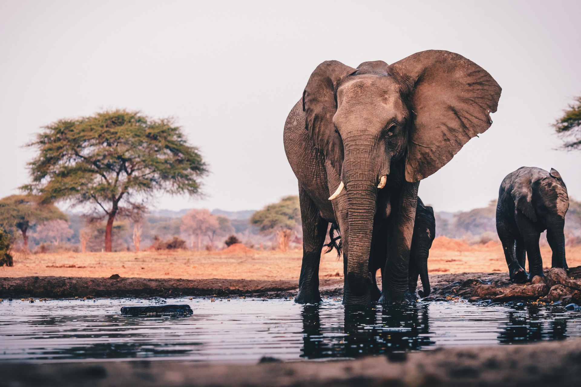 Viajes a Sudáfrica con safari y circuitos organizados