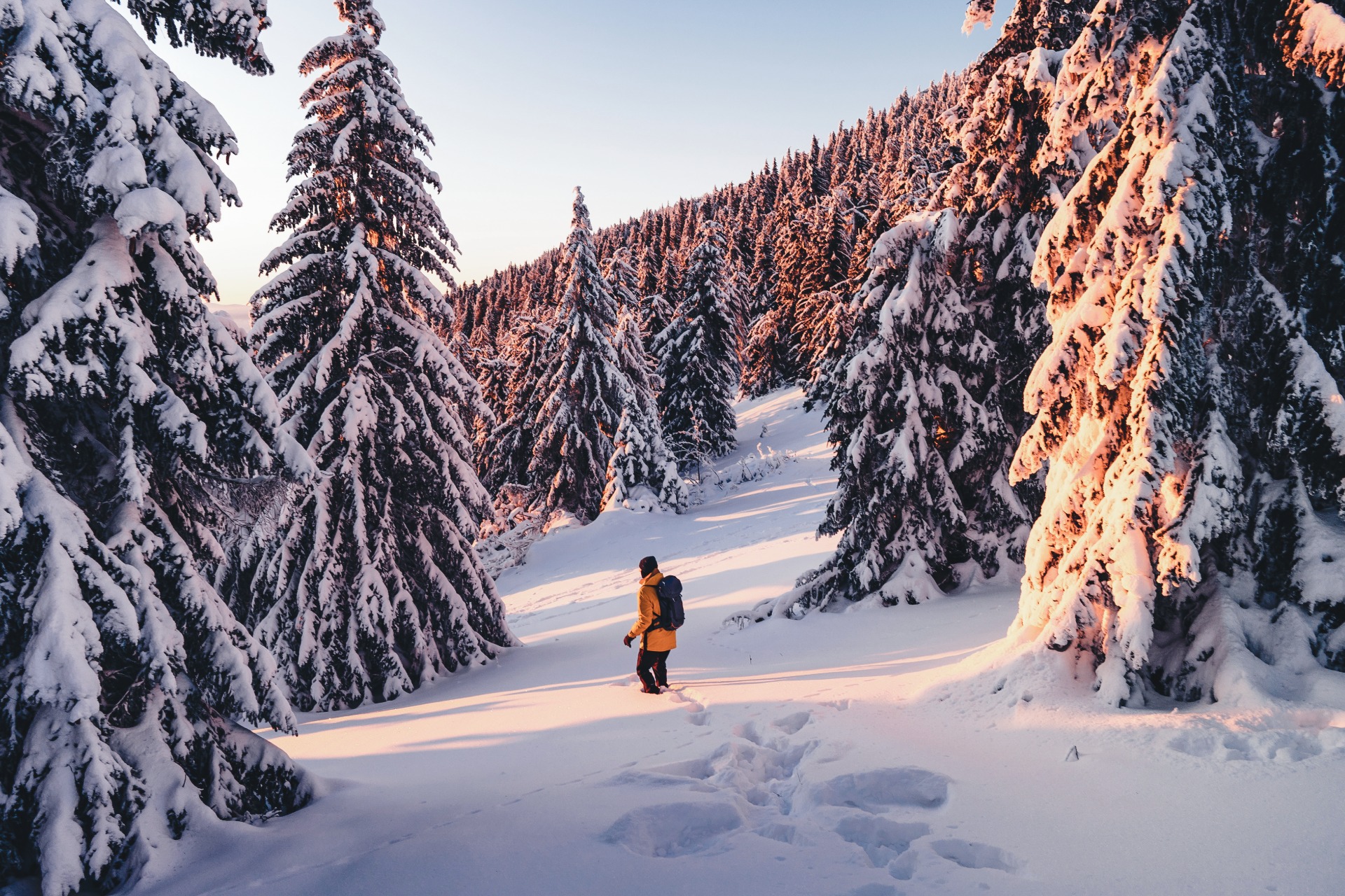 Viajes a Laponia: nieve, naturaleza y experiencias inolvidables