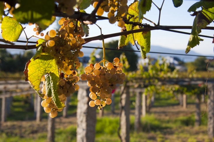 meano-rias-baixas