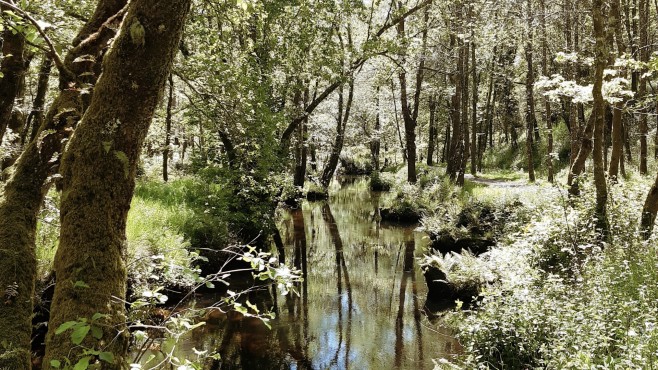hoteles-y-escapadas-en-guitiriz-lugo