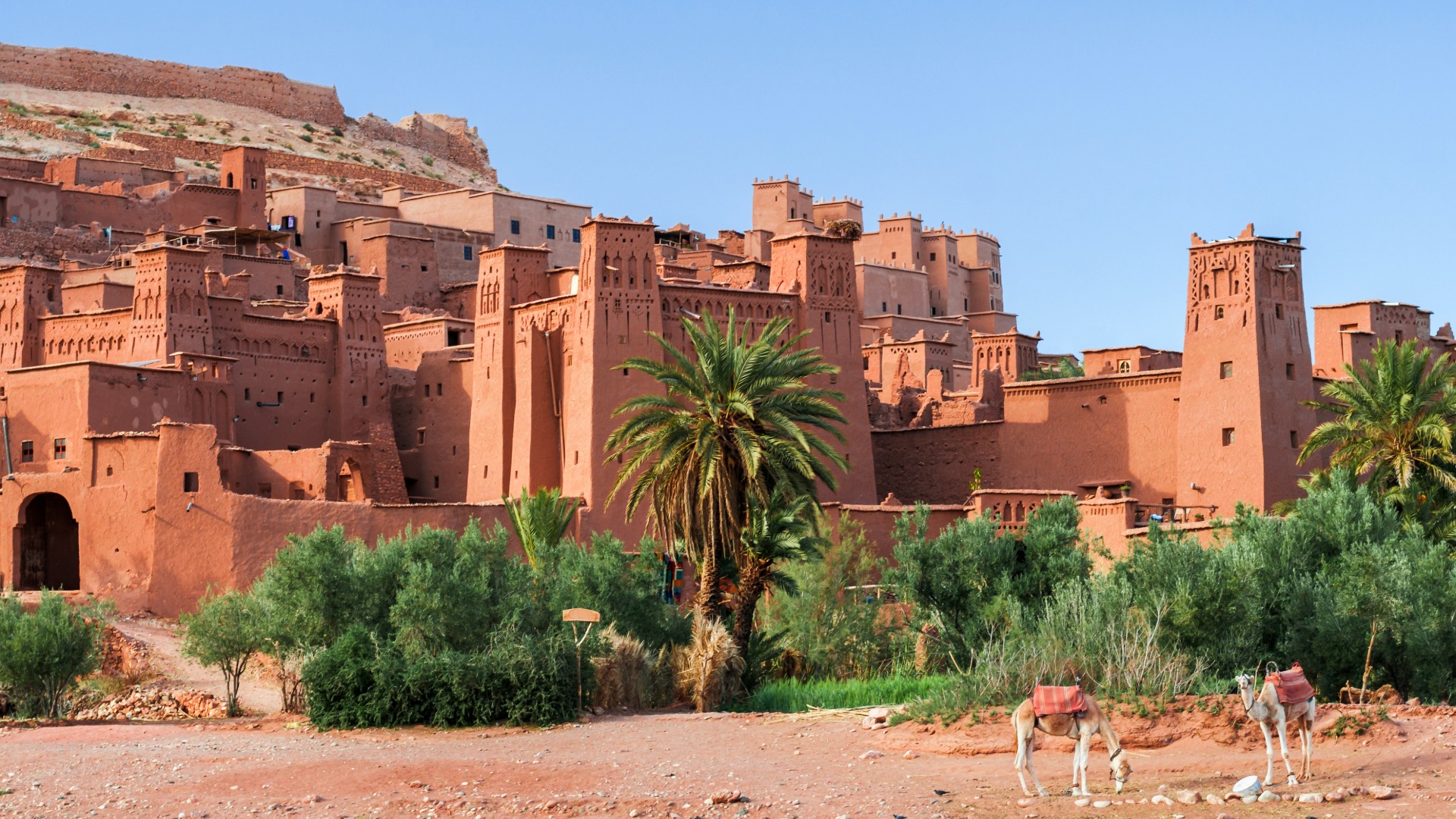 ofertas-de-viajes-a-marruecos-desde-santiago 28274