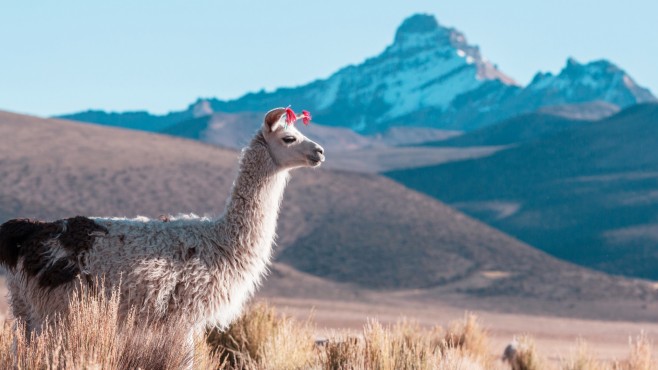 ofertas-de-viajes-a-peru-desde-galicia