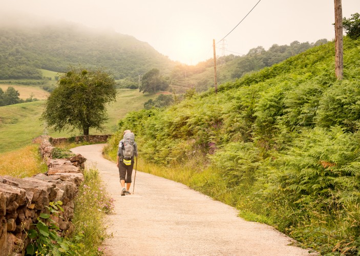 camino-de-santiago-de-compostela