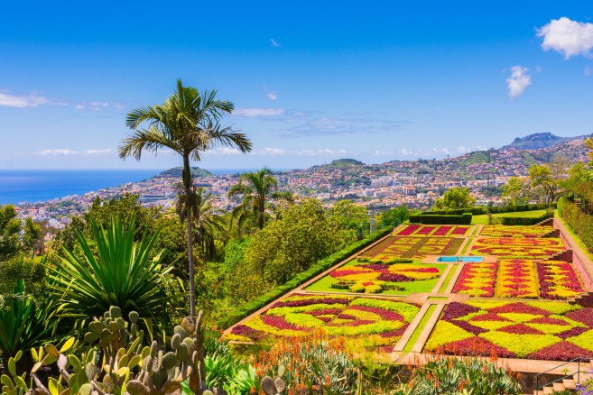 madeira-funchal