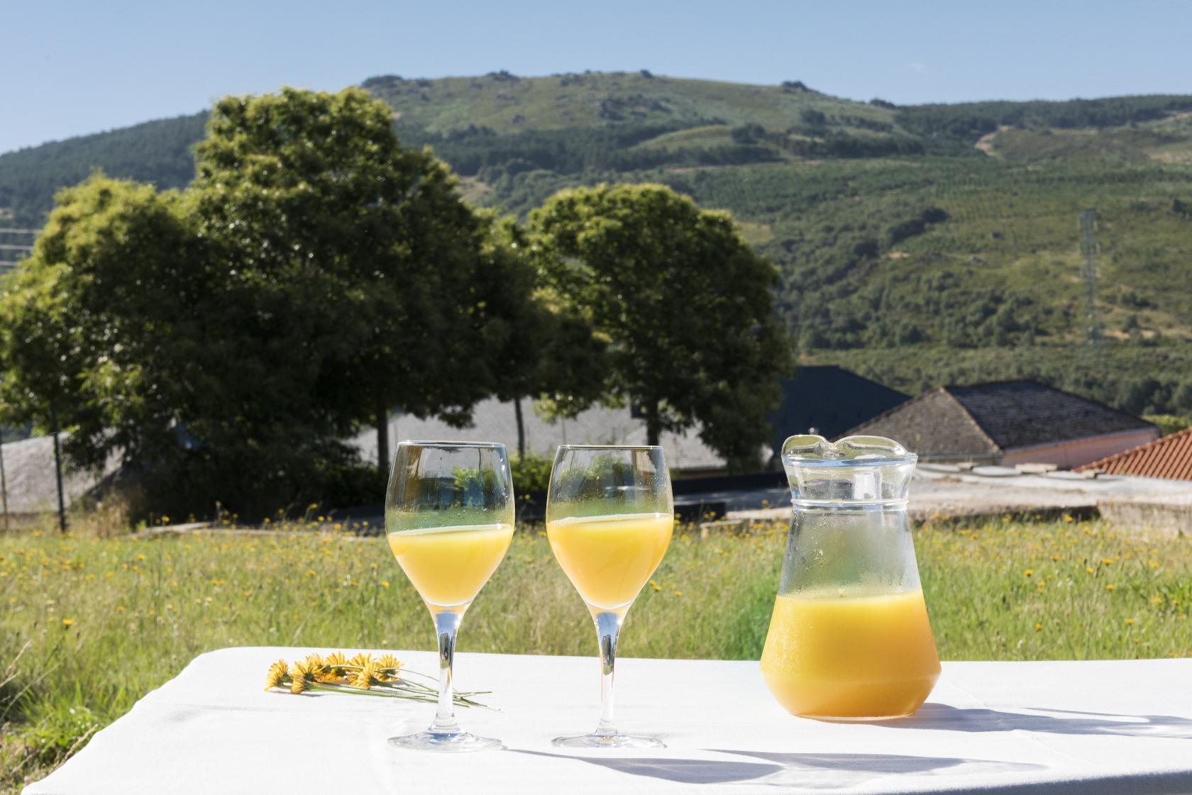 hotel-spa-vilavella 7568