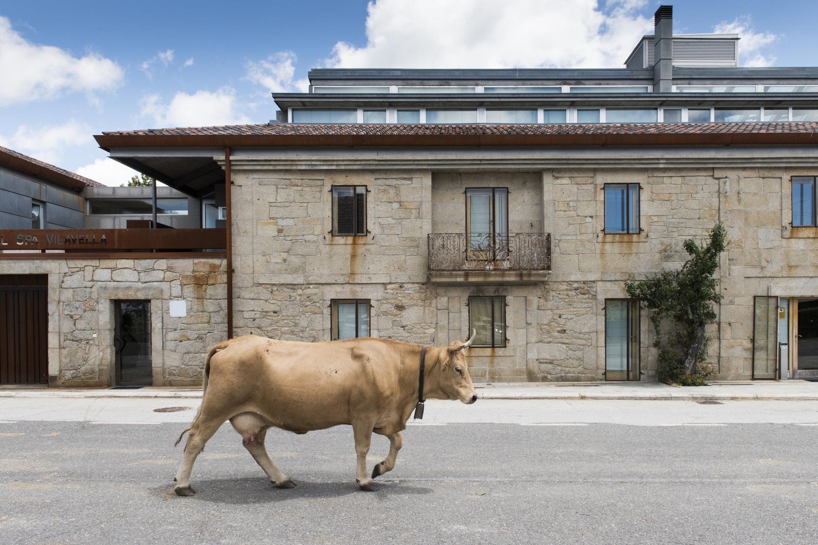 hotel-spa-vilavella 7569