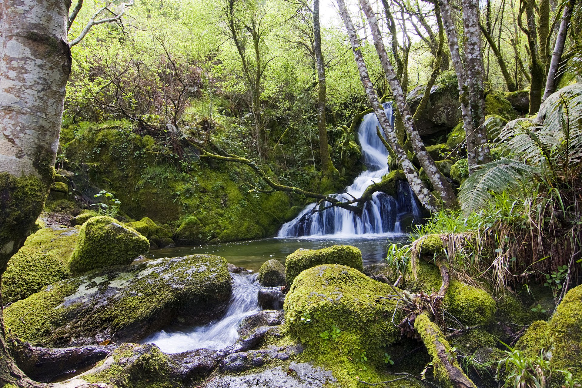 Escapadas y hoteles en Lalín